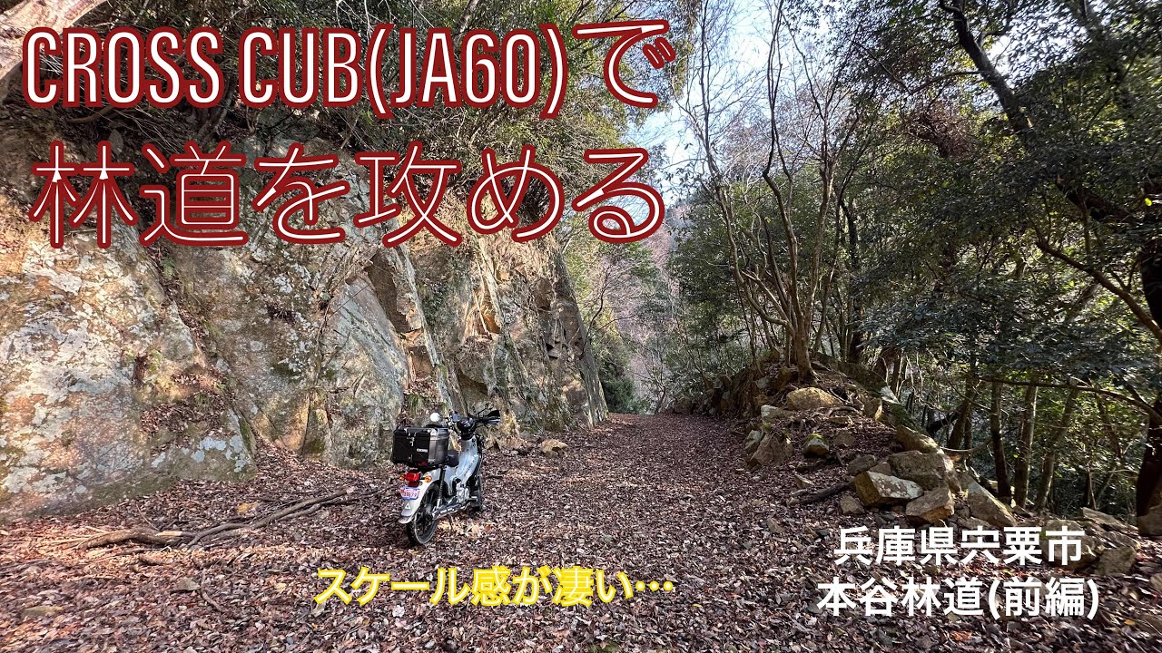 クロスカブで林道を攻める 兵庫県宍粟市 本谷林道(前編)