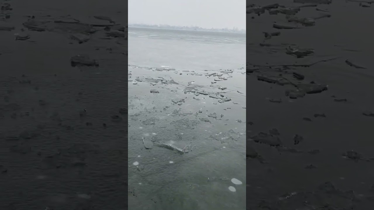 #kashmir #kashmirtour #love #kashmirtrip #dallake #dallakesrinagar #dallakekashmir #frozenlake