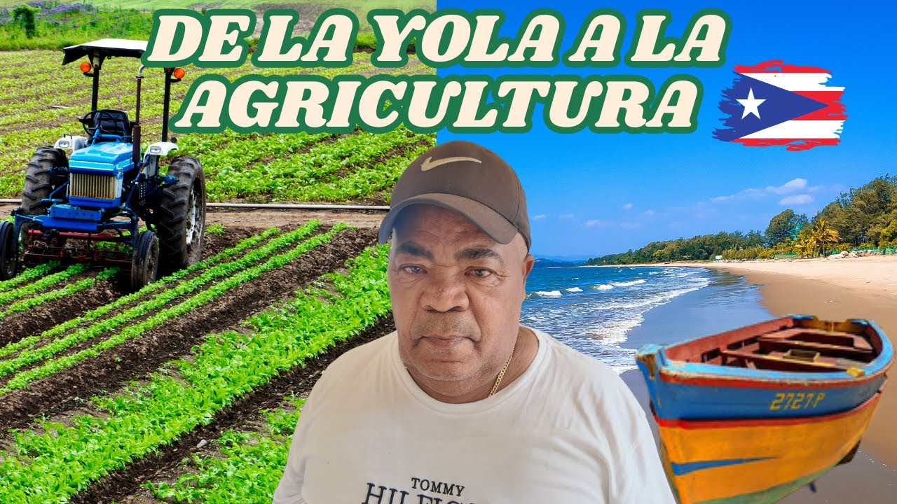 “🔥 ¡DEJÓ TODO Y CRUZÓ EN YOLA! HOY SU VIDA EN PUERTO RICO TE IMPACTARÁ 🇩🇴➡🇵🇷”