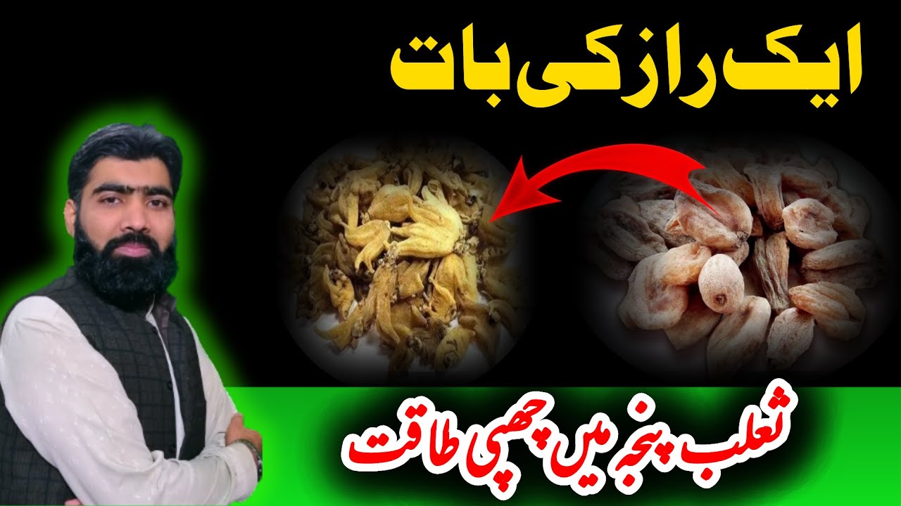 Salab Panja ke fayde | Can It Replace Salab Misri? | farooqi Dawakhana |