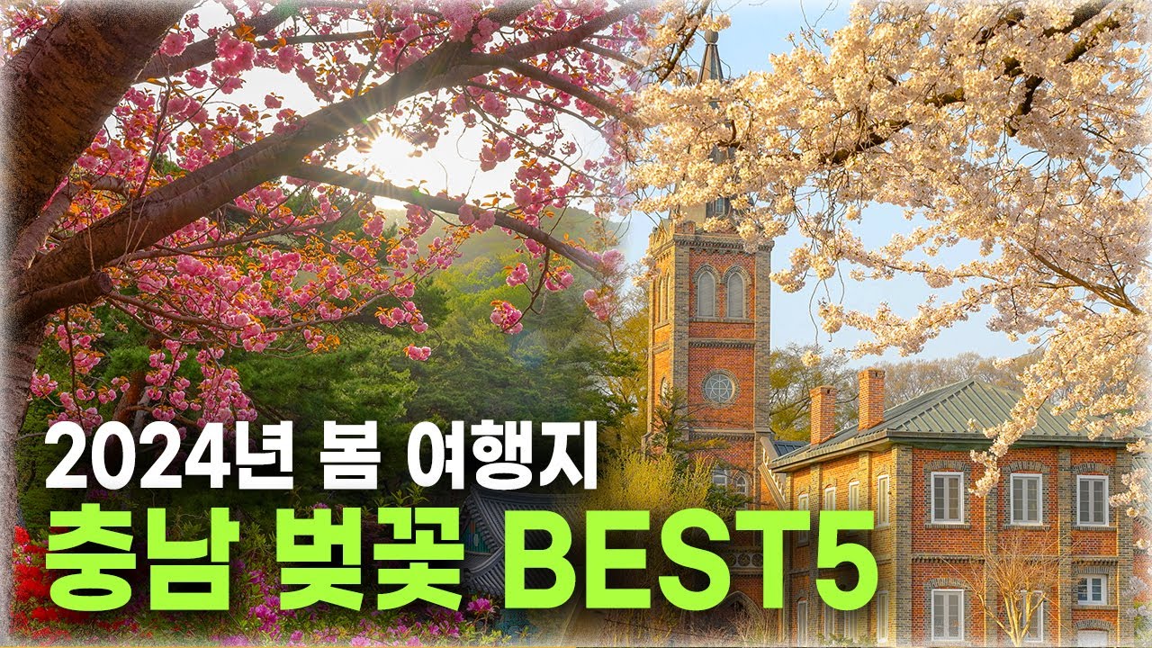 3,4월 봄에 가볼 만한 충청도 벚꽃 명소 BEST 5
