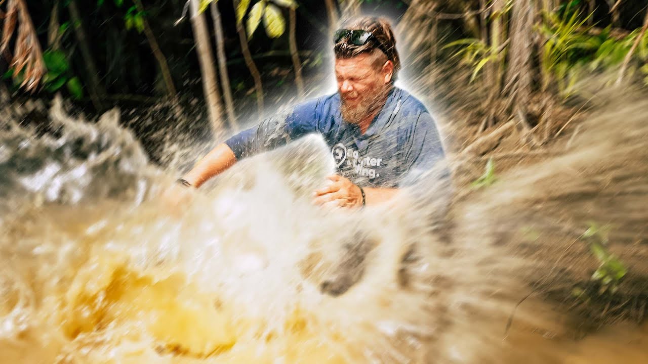 Eule gegen Goliath | Der gr&ouml;&szlig;te WELS des Amazonas