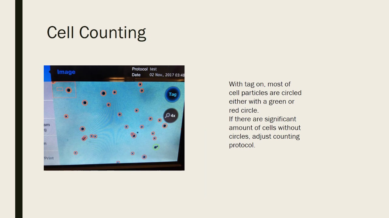 Automated cell counter Luna ii counting
