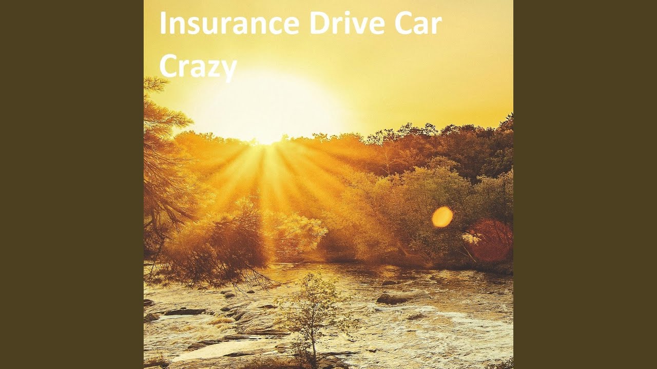 Insurance Drive Car Crazy