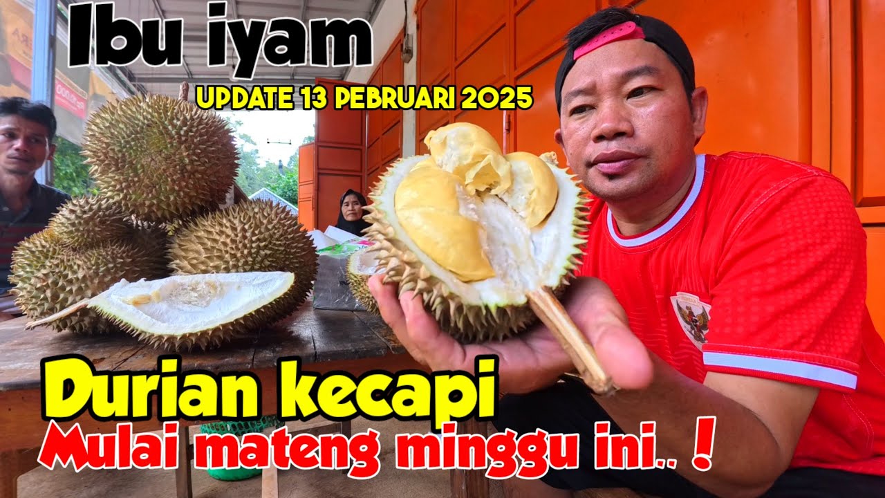 JENIS DURIAN BU IYAM INI BARU MATENG MINGGU INI || DAGINGNYA TEBAL KUNING LEGIT..!!