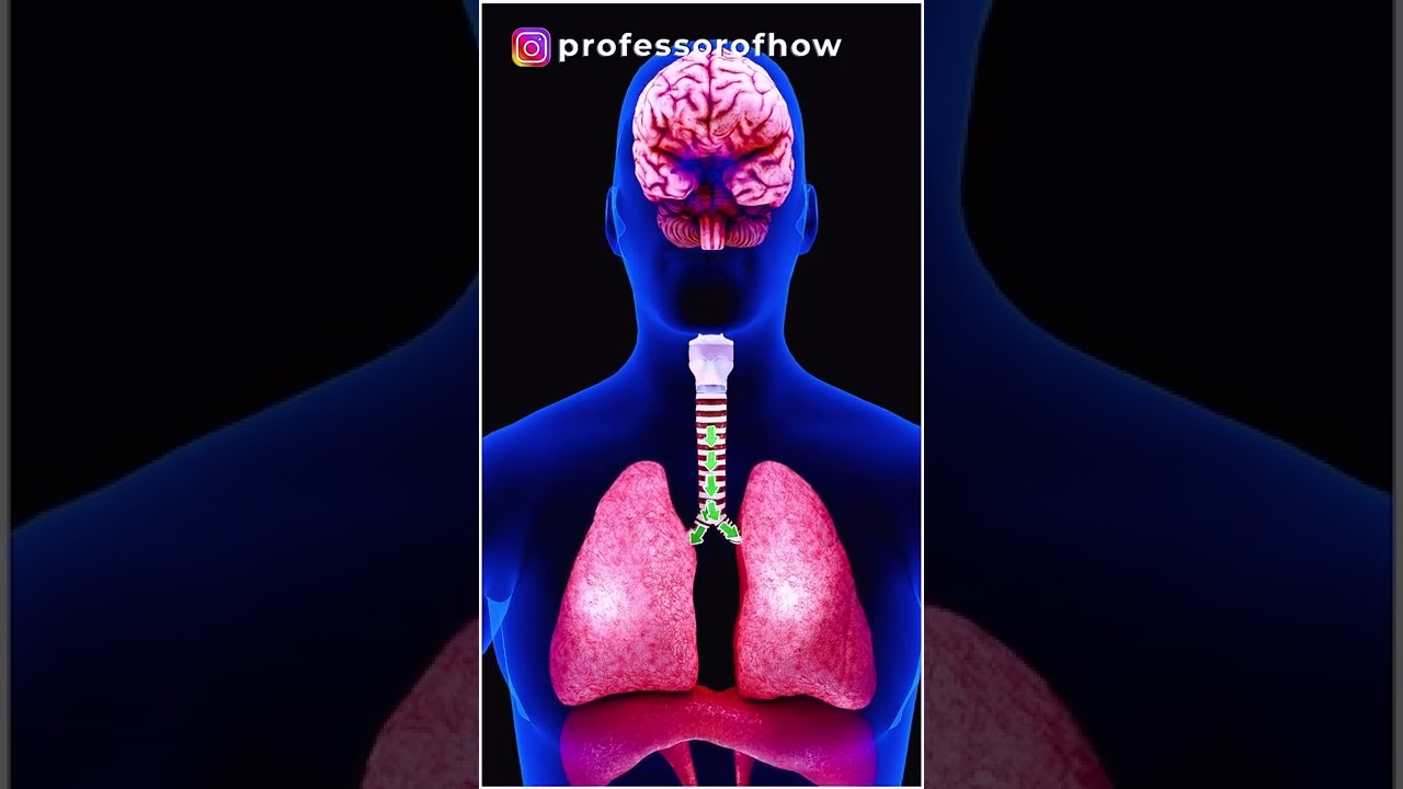 'Shocking' science behind SNEEZING! - By Kishor Singh #shorts