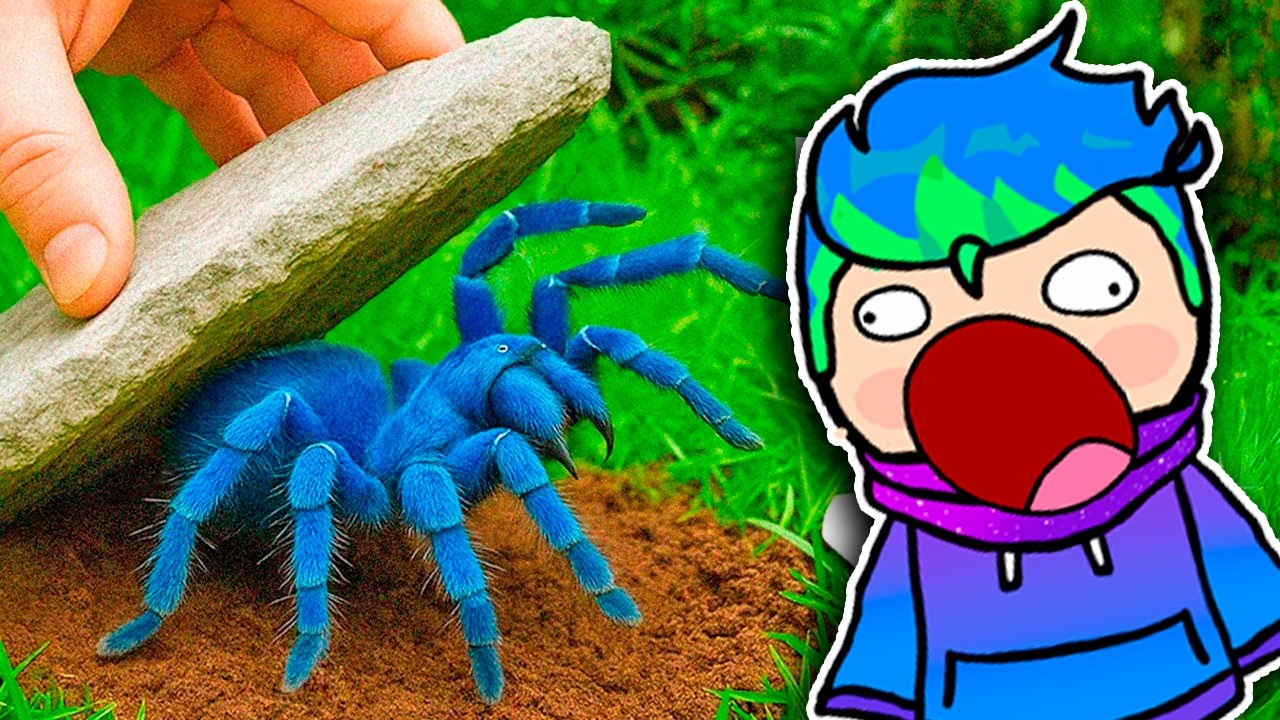 Levanté 100 Piedras en la Selva, Esto Es Lo Que Encontré..🕷️🌌/ Carlos Infinito REACCIONA TerraVerde