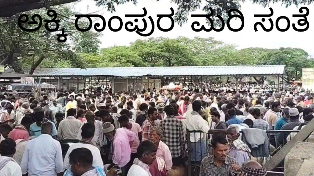 ಅಕ್ಕಿ ರಾಂಪುರ  ಸಂತೆ ಸಮುದ್ರ ಇದ್ದಾ ಹಾಗೆ @ agrianimals