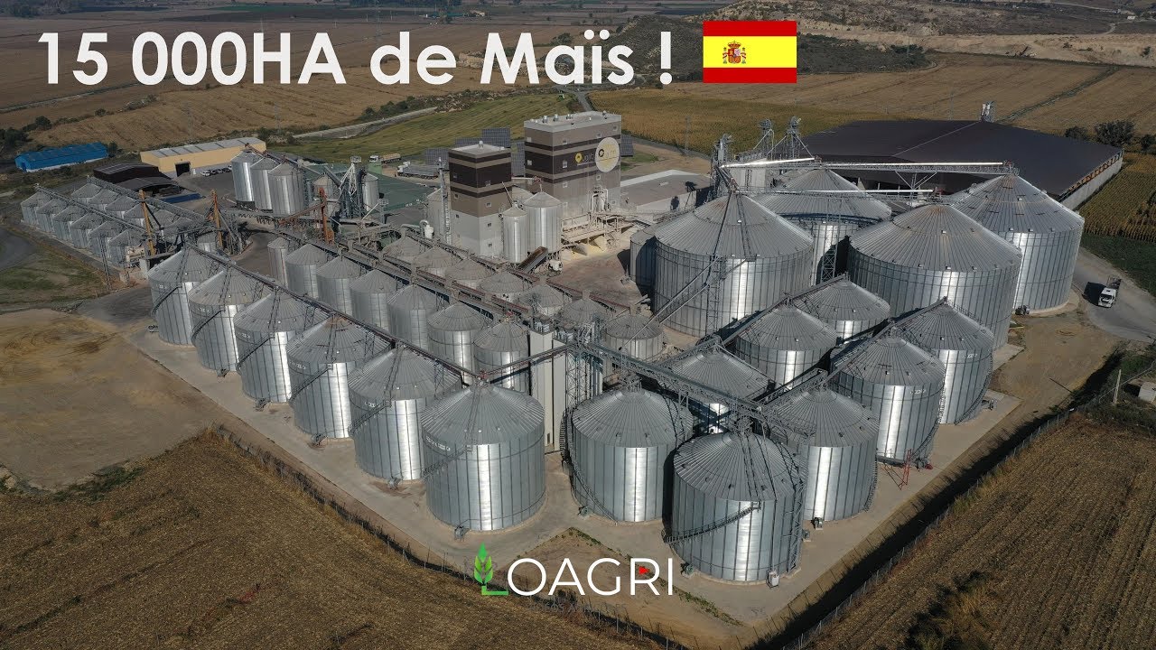 15 000HA DE MAÏS EN ESPAGNE !!! 🇪🇸