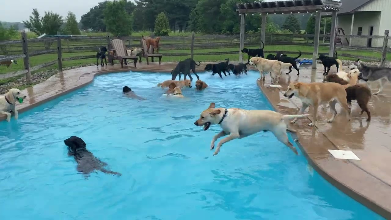Fun in the Sun!