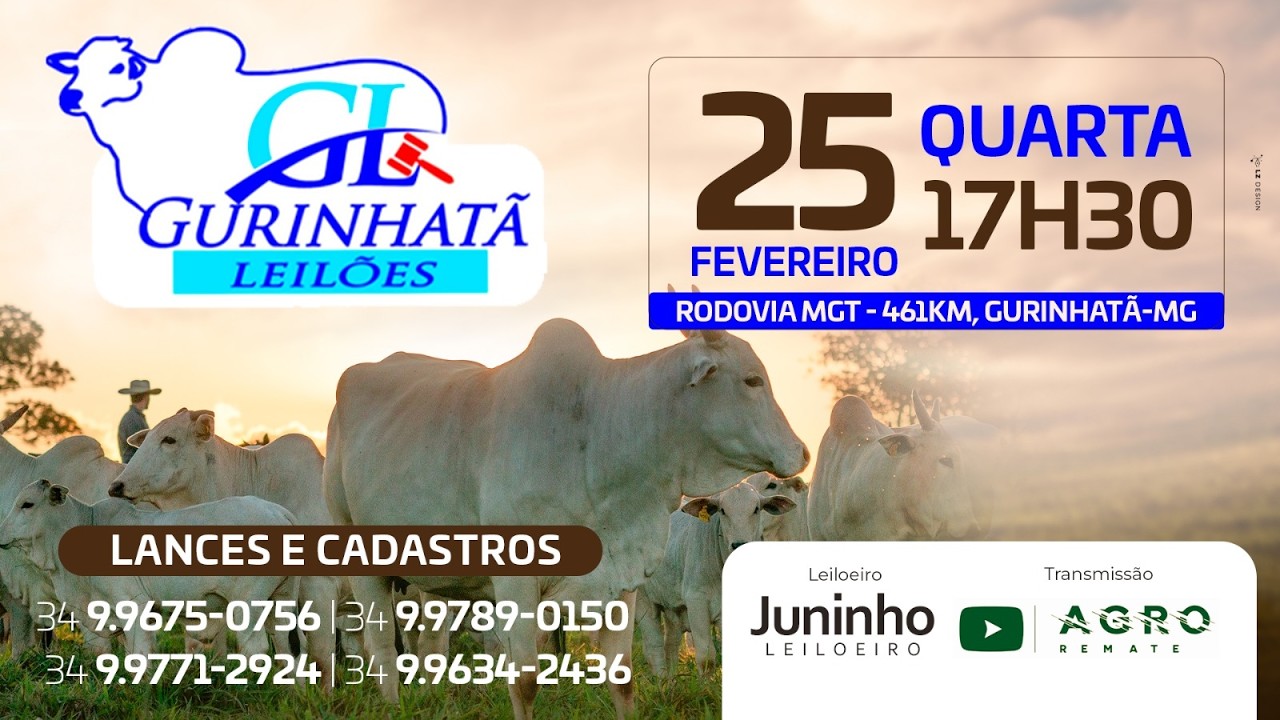 LEILÃO DE CORTE - GURINHATÃ LEILÕES 25/02/2026 - AGROREMATE