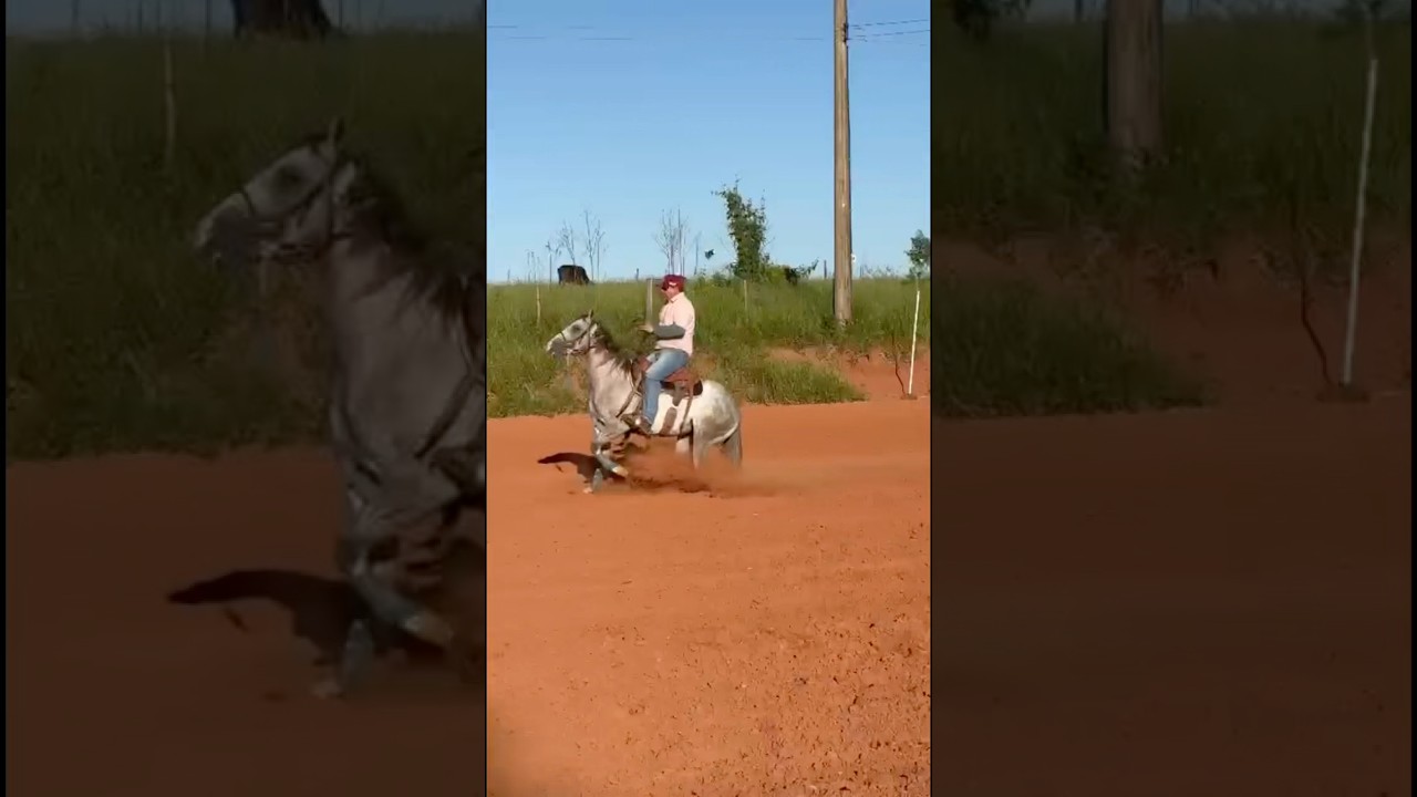 Остановки #лошадь