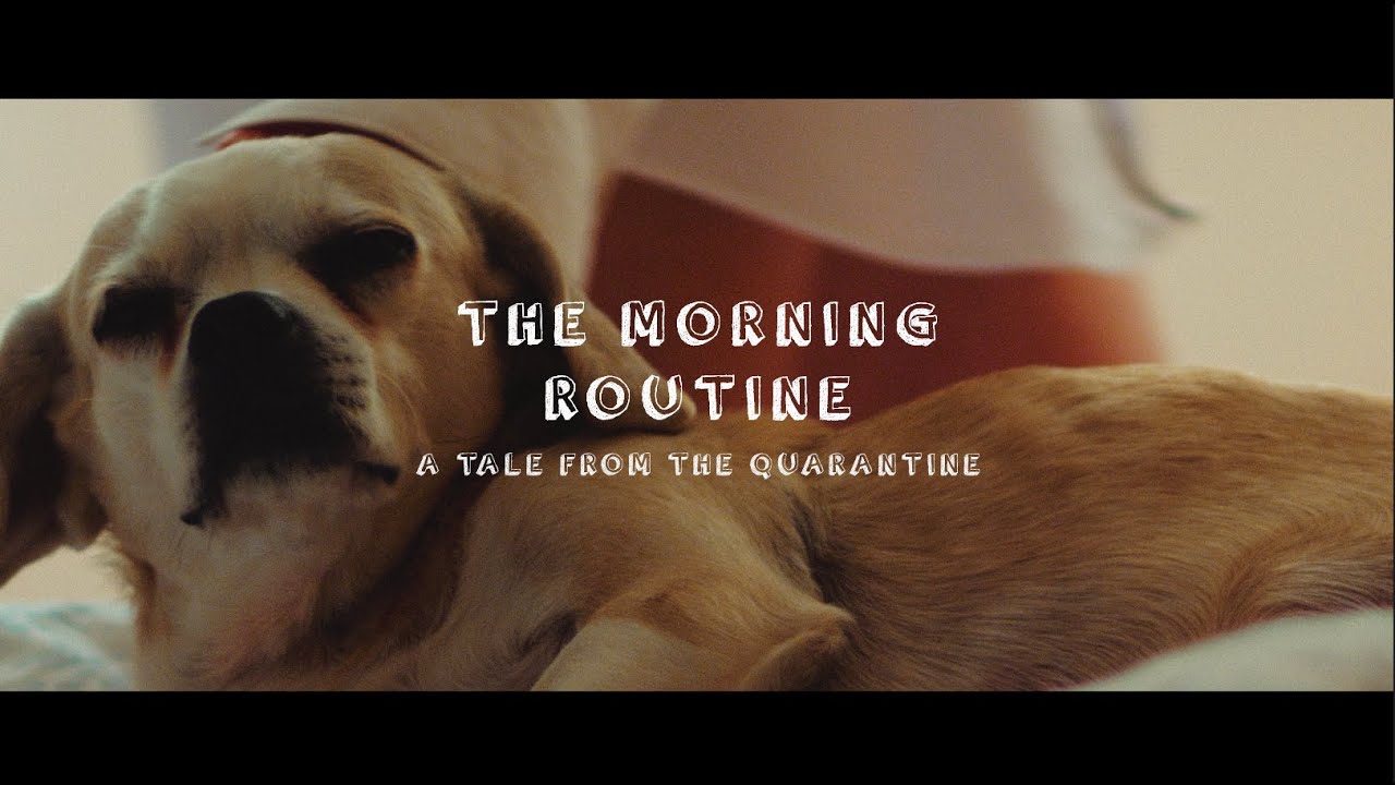 Morning Routine - A Tale from the Quarantine | Shot on Zeiss Jena Zebra & Lumix GH5
