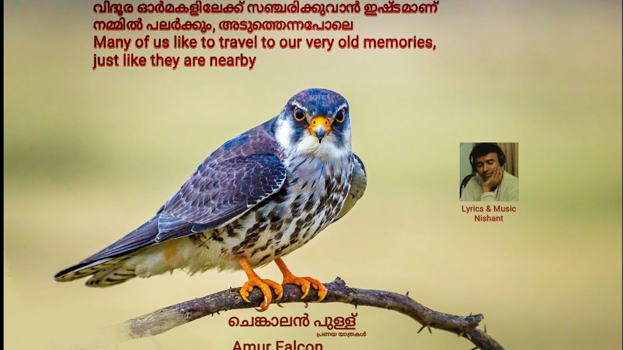 Dhoore Dhoore (M) I Nishant I Sajith Sankar