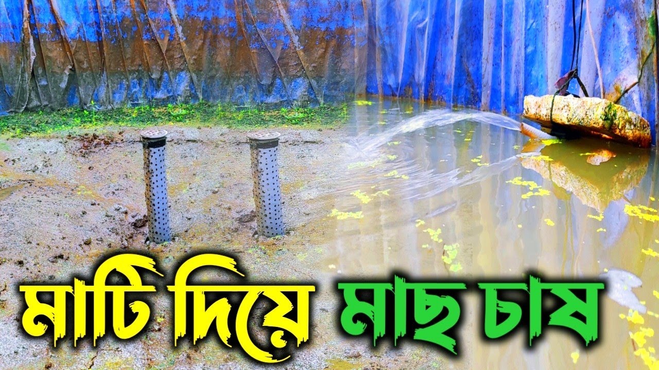 কম খরচে,মাটি দিয়ে মাছ চাষ। সবাই করতে পারবে। মাছ চাষ লাভ আপনার হবেই।@Koushikda