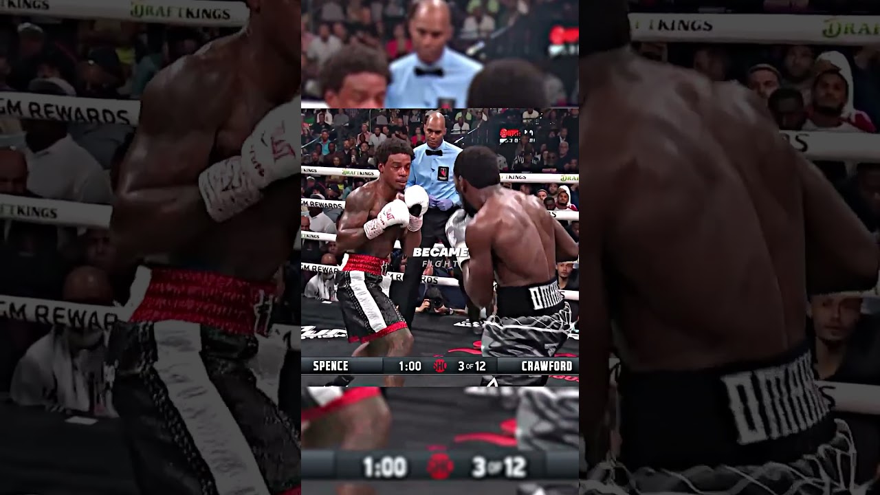 How To Destroy An Elite Boxer