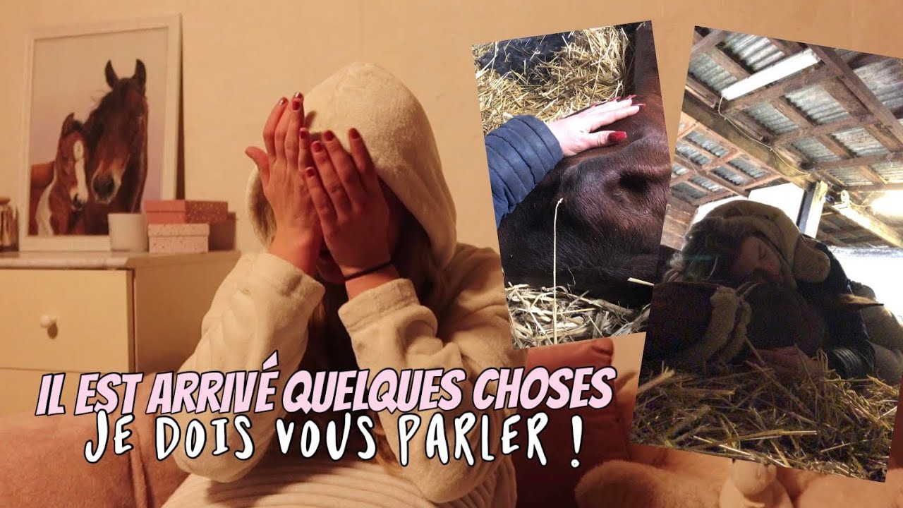 MA JUMENT EST DÉCÉDÉE... QUE S'EST T-IL PASSÉ ?