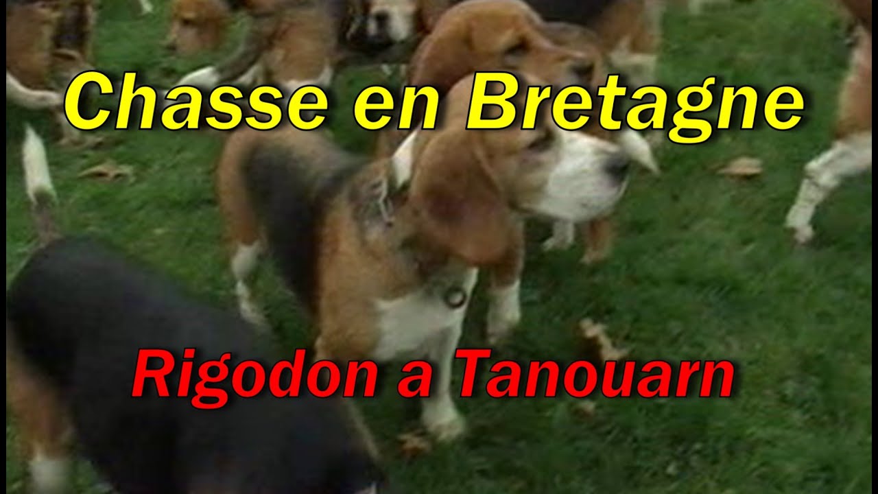Chasse en Bretagne E1 Rigodon a Tanouarn