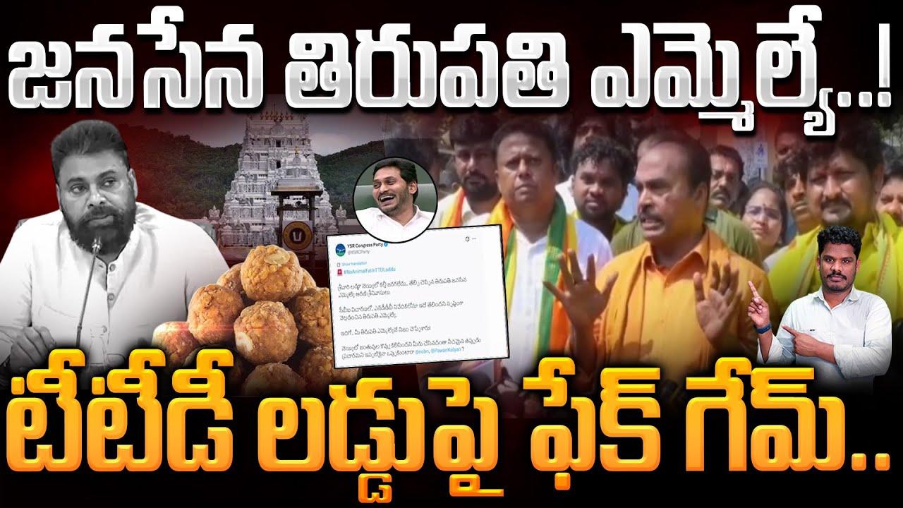 Janasena MLA Laddu Controversy: జనసేన తిరుపతి ఎమ్మెల్యే..! టీటీడీ లడ్డుపై ఫేక్ గేమ్.. | AP 175