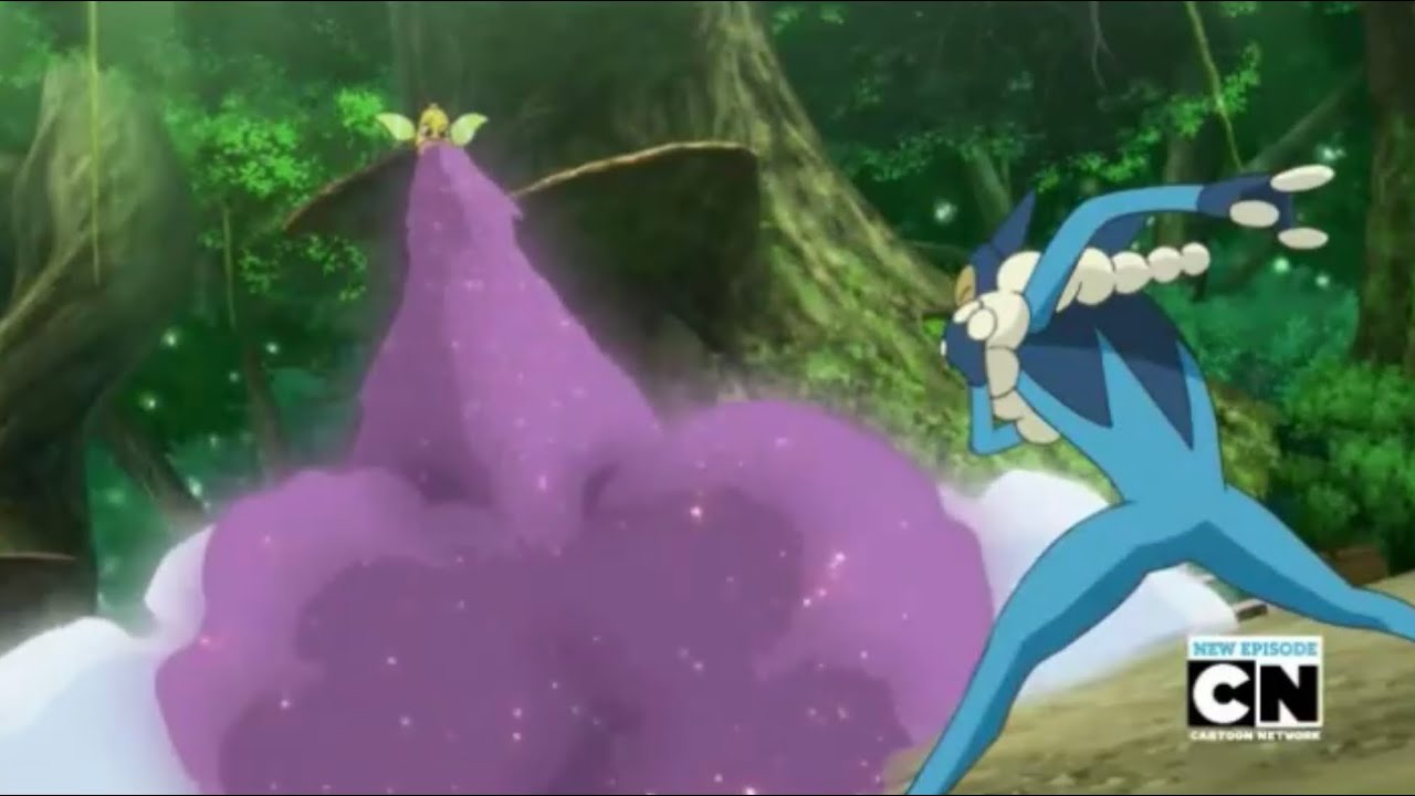 Pokemon: Frogadier vs Weepinbell