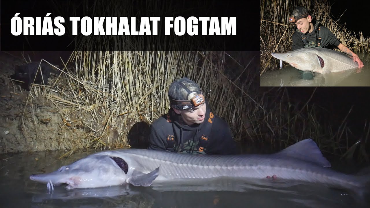 ❄️Életem horgászata---ÓRIÁS TOKHALAT FOGTAM----3x20kg + PONTY❄️