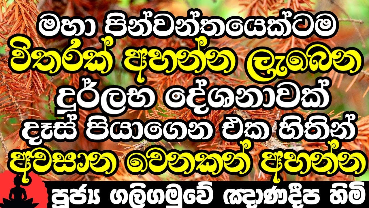 ආත්ම ගාණක් පින් කරපු මහා පින්වන්තයෙක්ටම අහන්න ලැබෙන දුර්ලභ බණක් | Galigamuwe Gnanadeepa Thero 2023