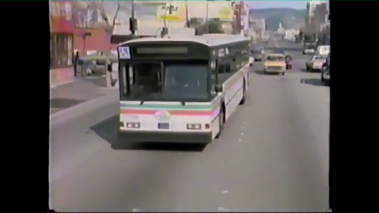 ＢＬＡＺＥＢＵＳ ： ＮＥＶＥＲ Ａ ＤＵＬＬ ＭＯＭＥＮＴ