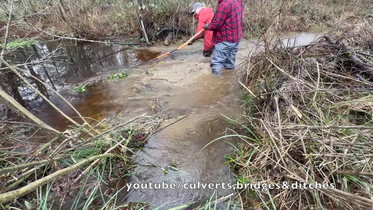 BREAKING UP BEAVER DAM THREATENING ROAD! 11/2025
