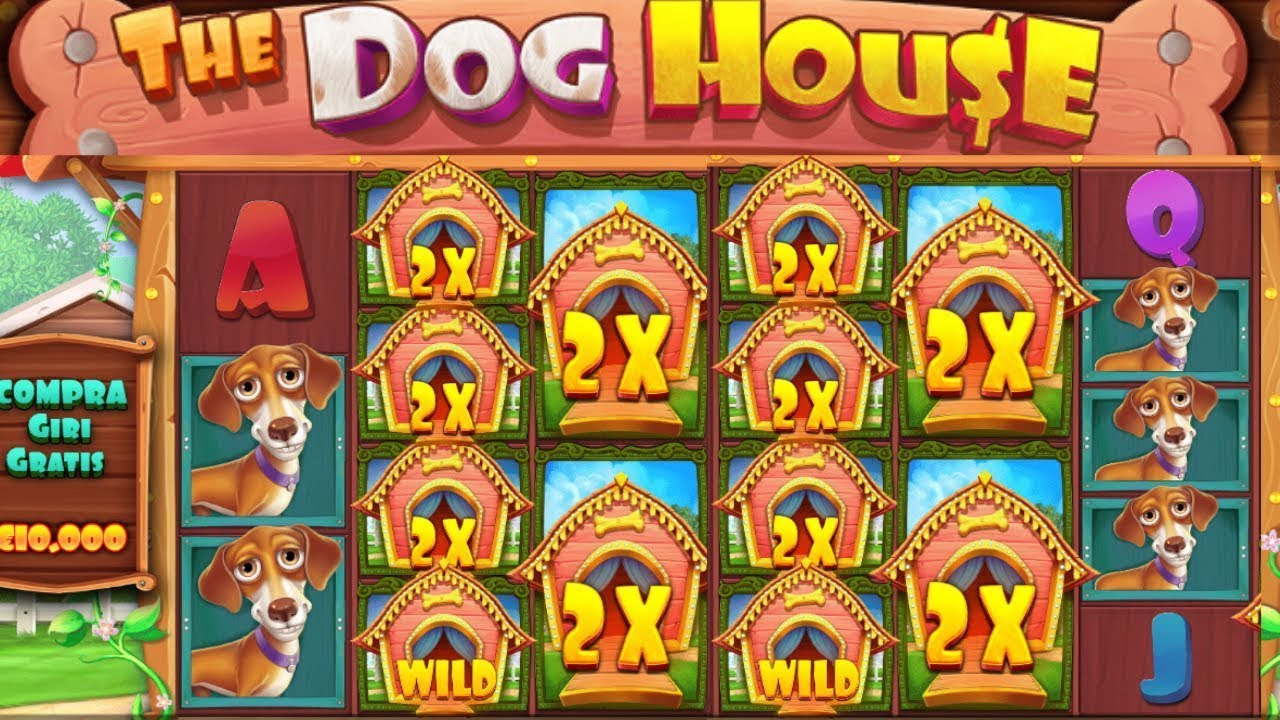 IS THIS REAL??? F*UCKING COME BACK FOR 10.000 EUROS!! GREAT WIN ON DOG HOUSE MEGAWAYS!!