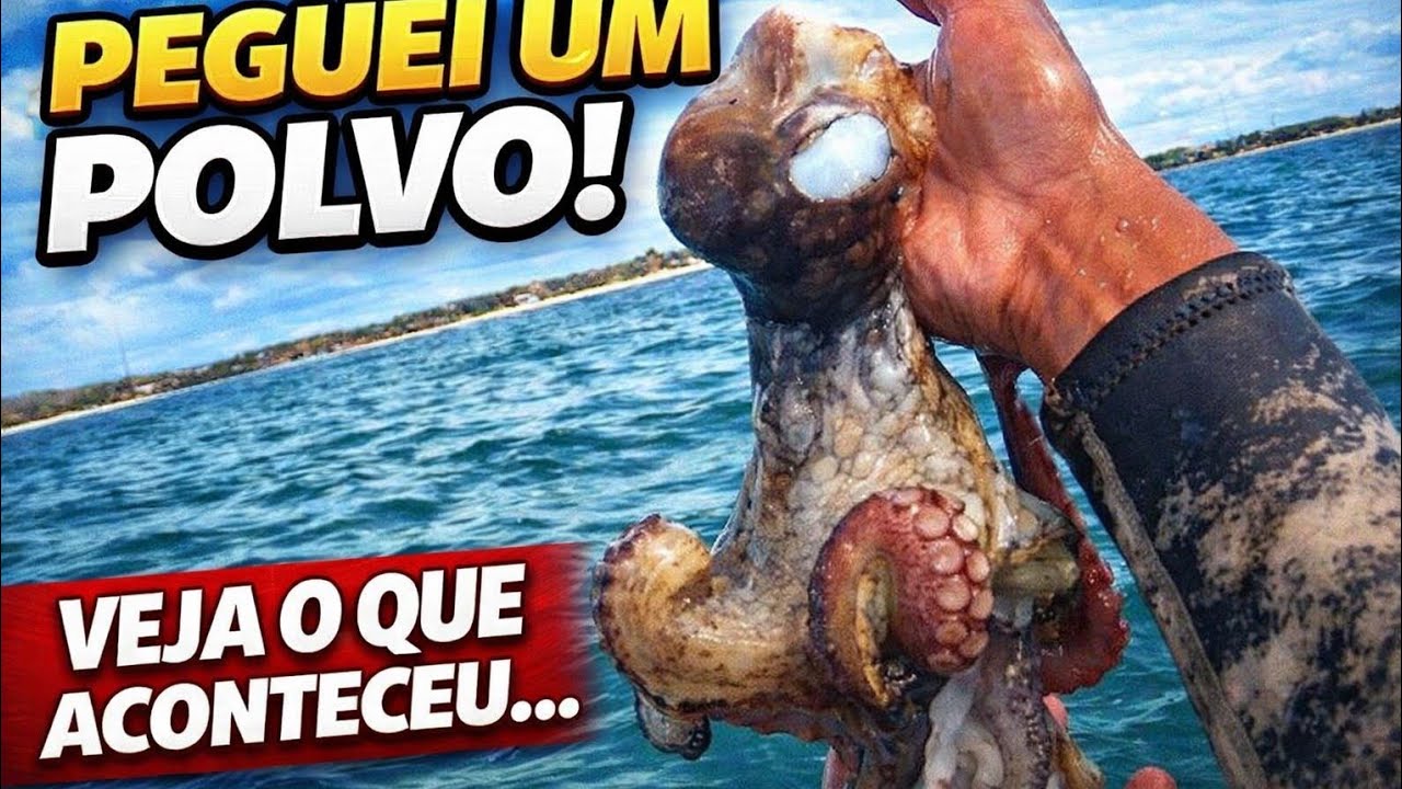 O MAR ESTAVA DIFERENTE… DEU POLVO ATRÁS DE POLVO 😱#polvo #pescasub #mar