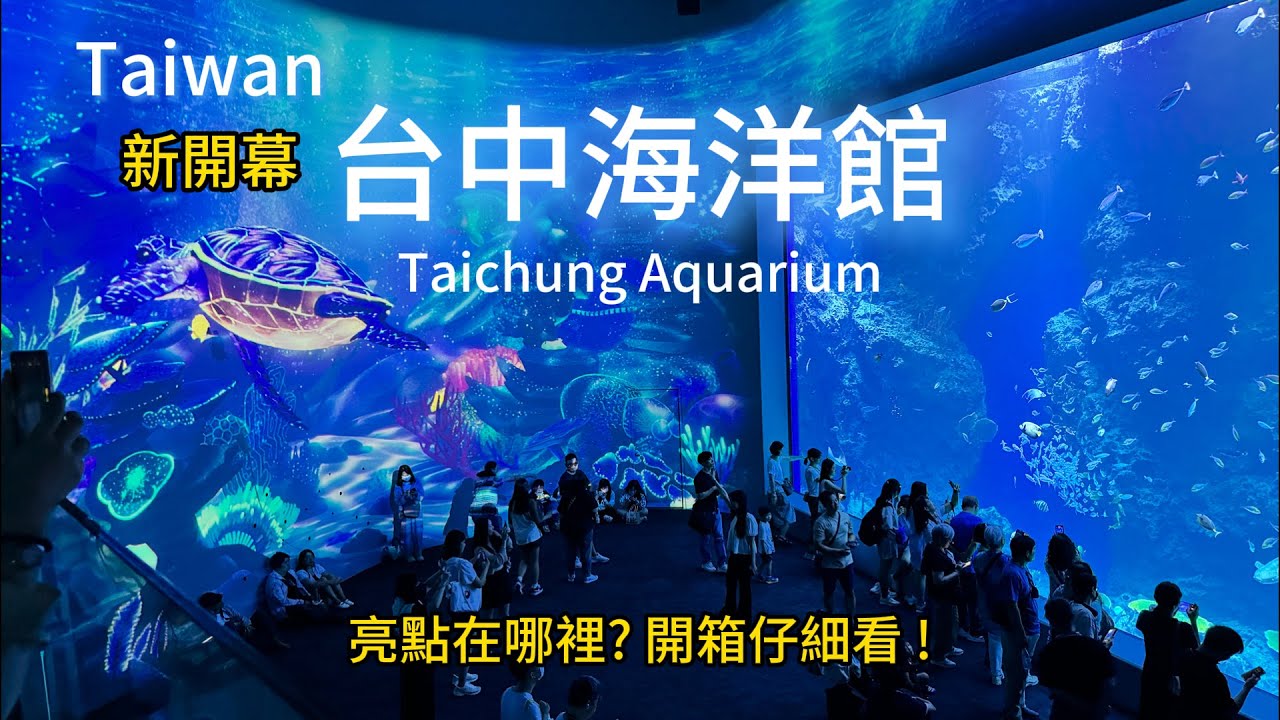 台中海洋館開箱  有亮點但還有進步的空間  票價CP值夠嗎?  直擊現場詳細解說 #台灣 #台中海洋館 #大型水族館 #清水景點 #高美濕地 #梧棲漁港
