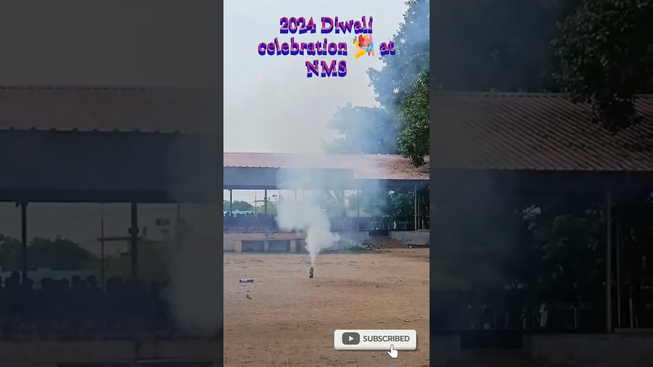2024 Deepavali celebration at NMS 💫 