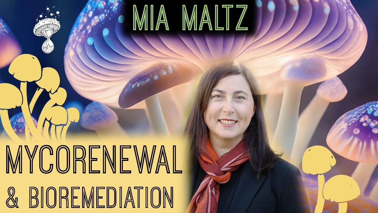Mycorenewal - Ecological Restoration, Microbial Ecology & Bioremediation | Mia Maltz PhD