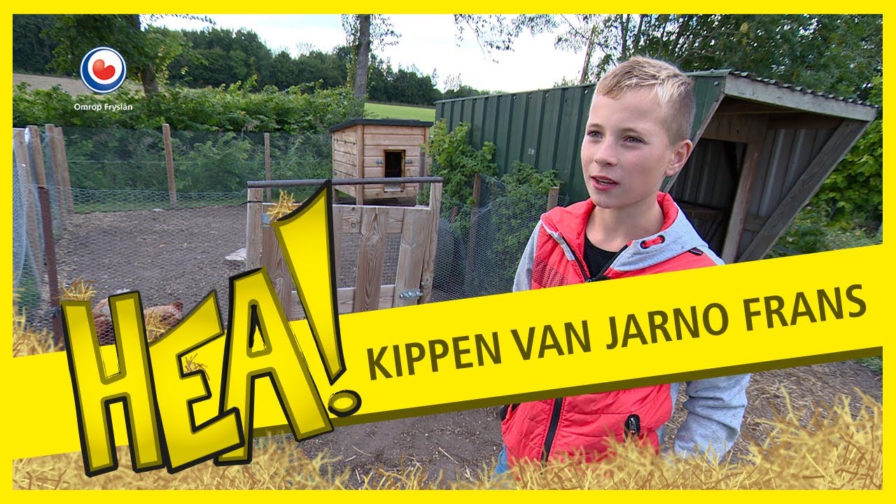 HEA! Jarno Frans en zijn kippen