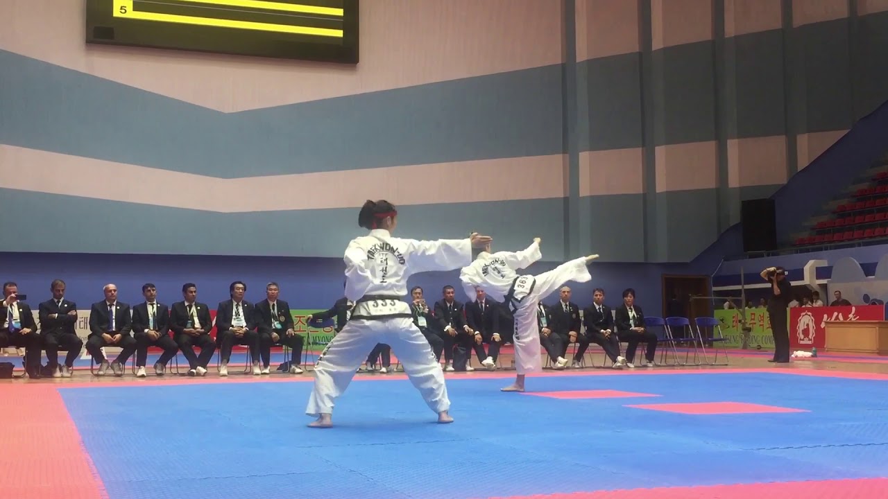 2017 ITF World Championships 3rd Dan Ladies Patterns Final - RUSSIA VS DPRK