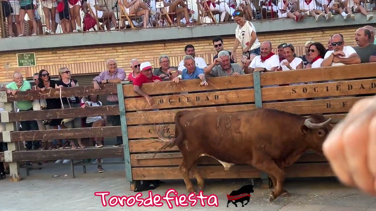 Ribaforada ganadería Ustarroz me vio de lejos!