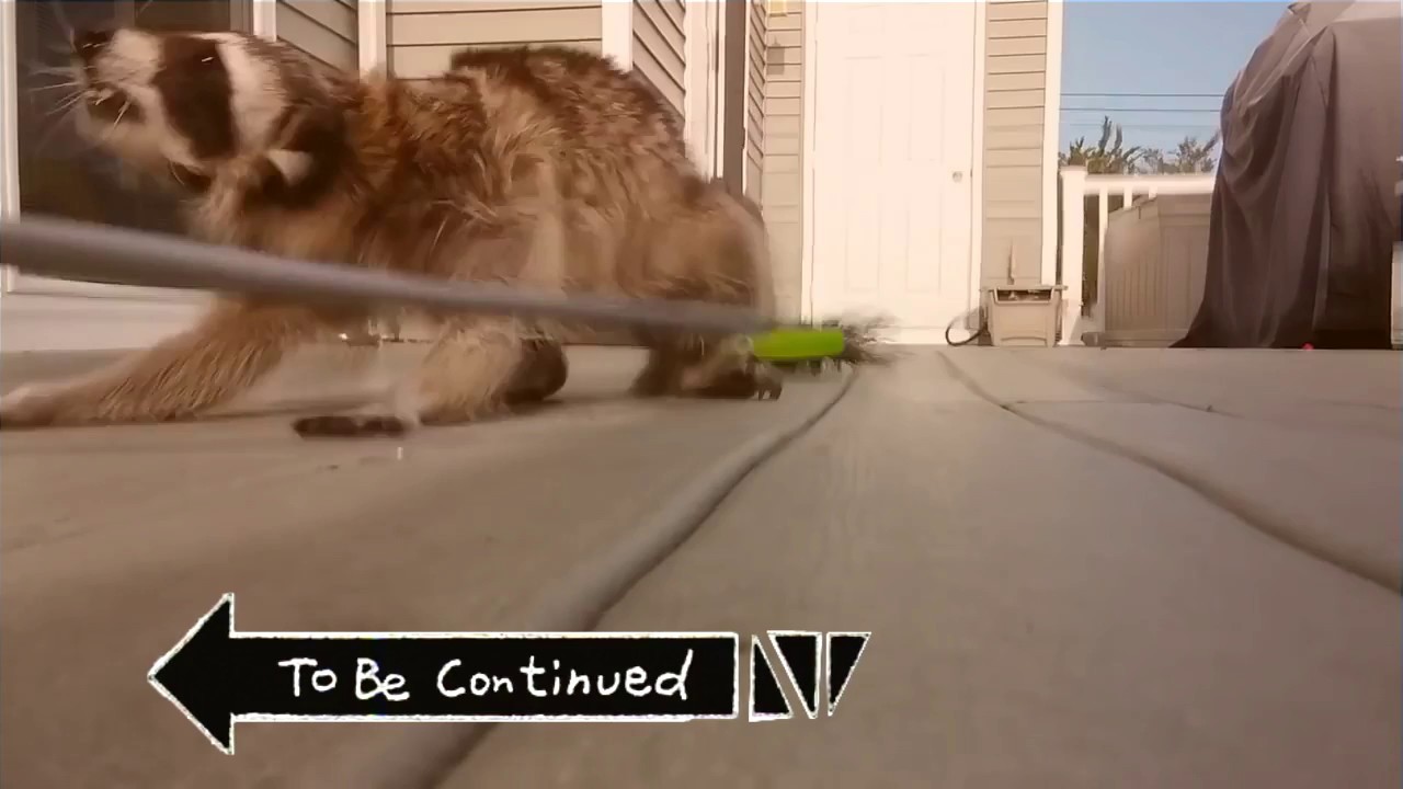 TO BE CONTINUED MEME COMPILATION
