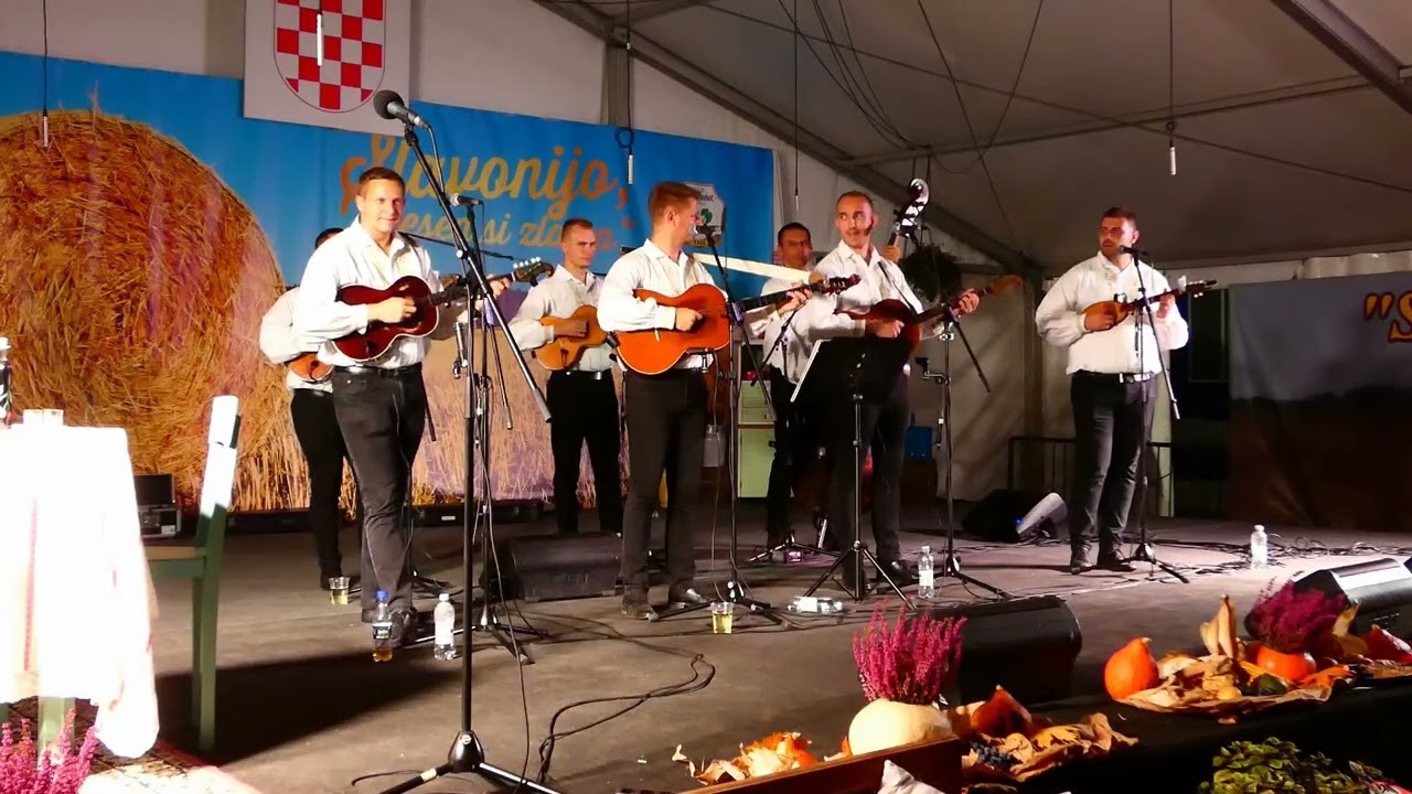 Lički sokol, Žitna polja.