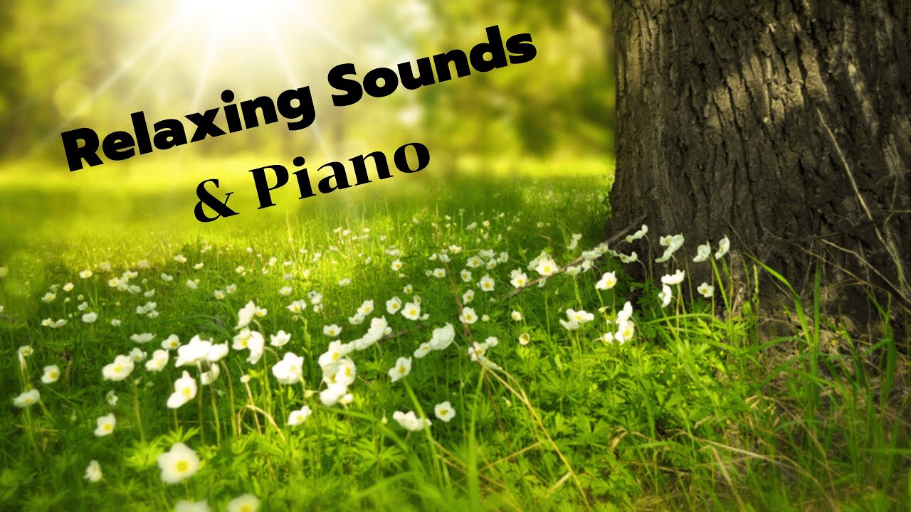 เพลงผ่อนคลาย...นั่งทำงาน นั่งสมาธิ กล่อมนอน Zz (เปียโน) #Reraxing Sounds & Piano
