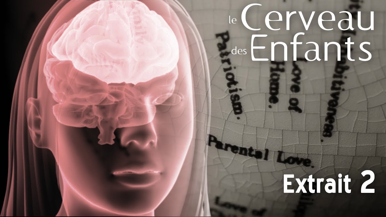 Le Cerveau des Enfants // Extait 02 // VOST