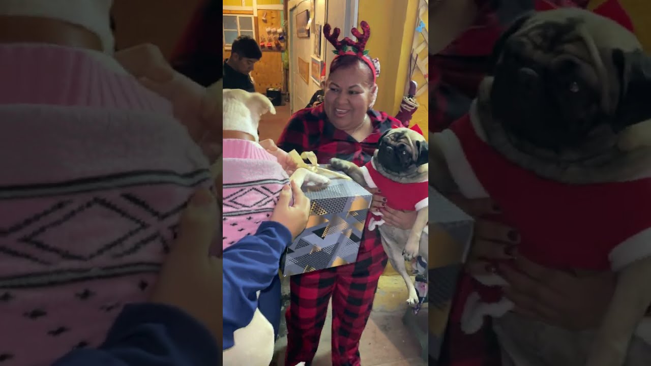 Abriendo Regalos(2025)…