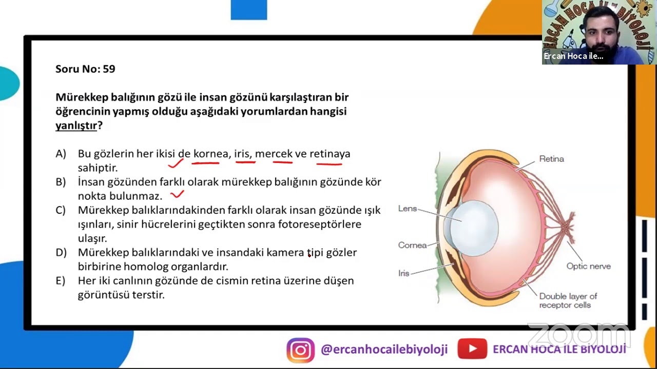 Ercan Hoca ile Biyoloji's Personal Meeting Room