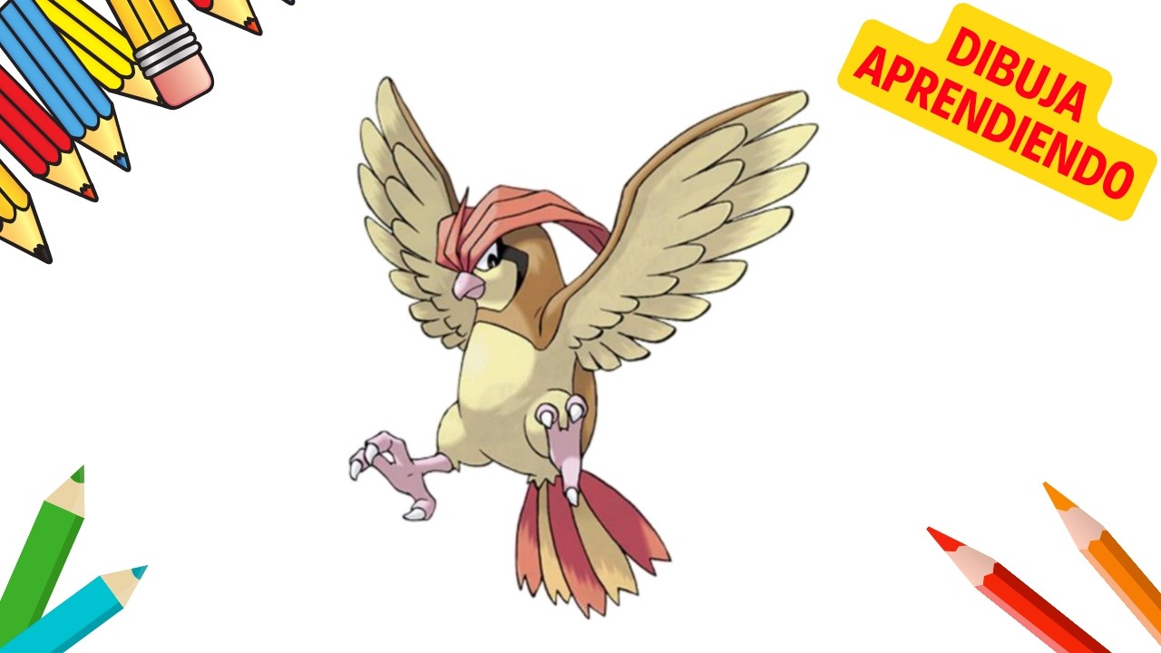 Como Dibujar a PIDGEOTTO 🎨🖍