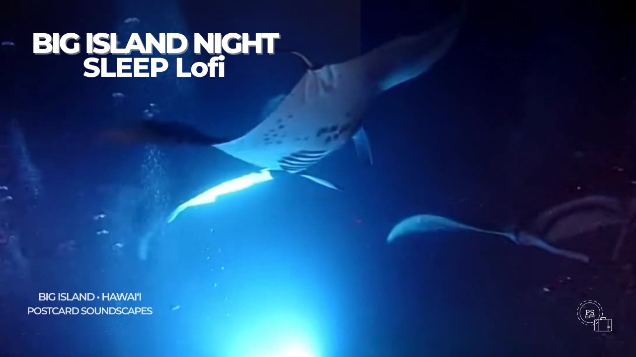 Big Island Night Sleep LoFi 🌙 | Manta Rays + Kīlauea Volcano Glow (Inspired)