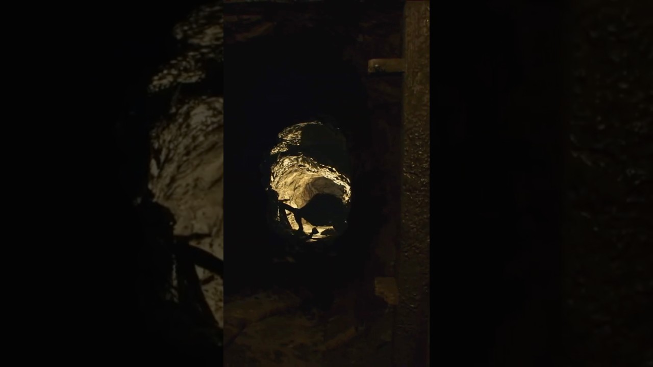 SHES EVOLVING #horrorgame #capcom #residentevillore #gamehorror #캡콤 #서바이벌호러 #firstpersonhorror