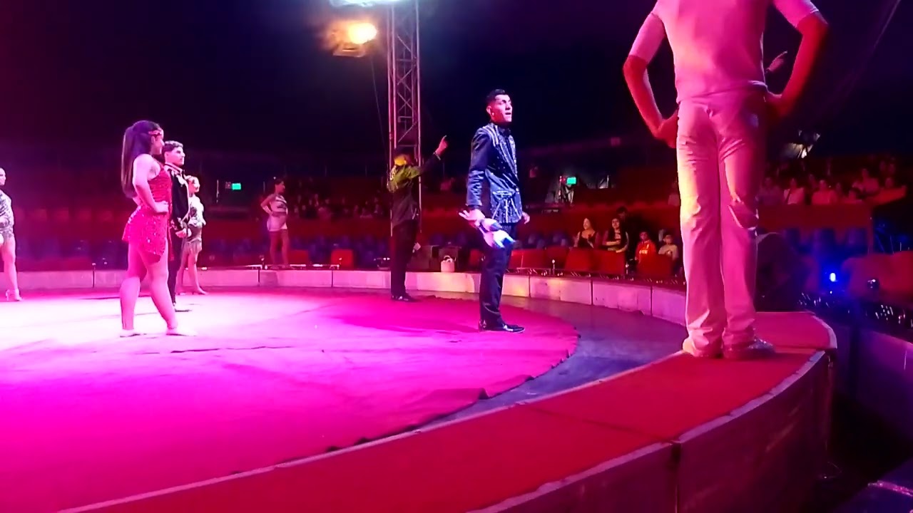 Circo los trompitos 