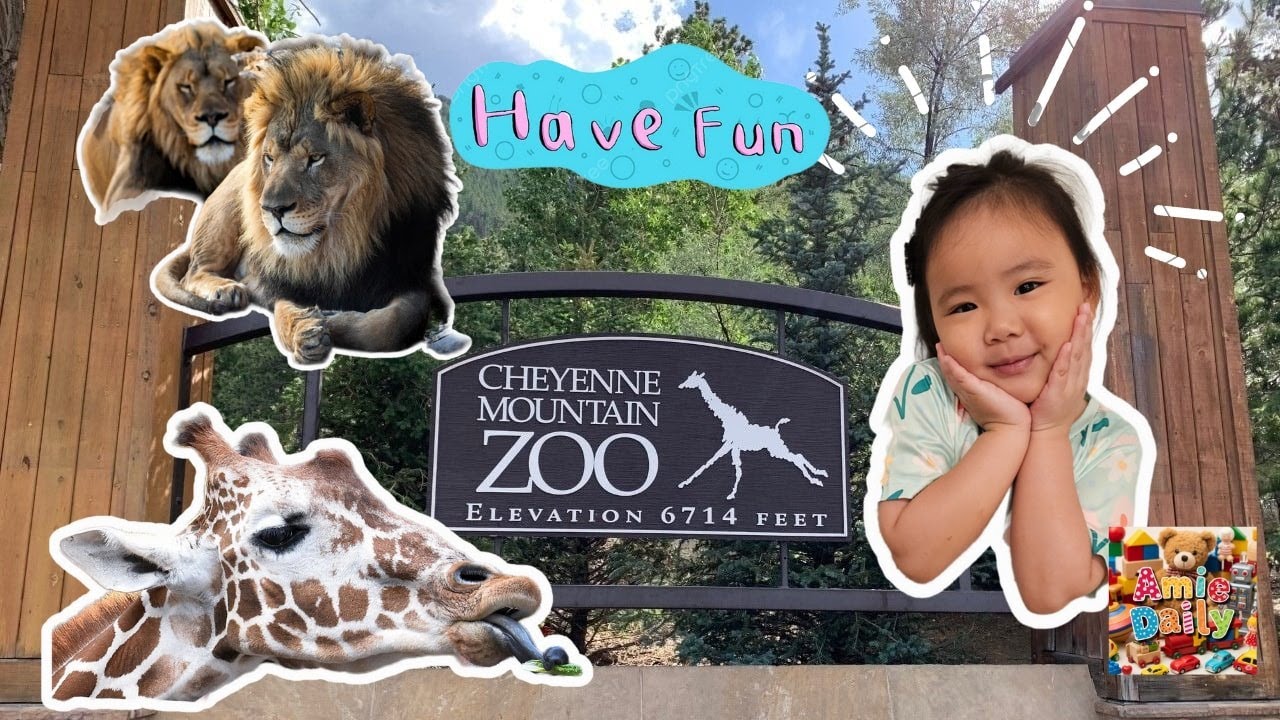 Amie at the Cheyenne Mountain Zoo in Colorado. 🐱🐯🐘🦁