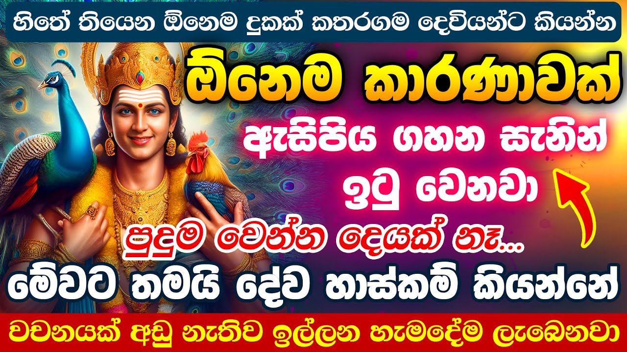 කතරගම දෙවියෝ විශ්වාසයි නම් වරදින්න විදියක් නෑ...🌷🙏💯 Katharagama God Mantra Katharagama Deviyo Mantra