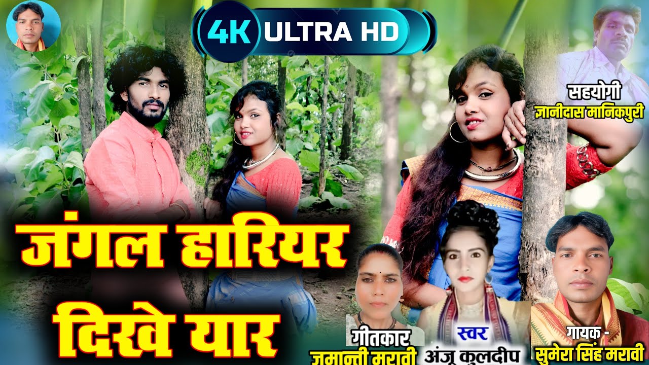 जंगल हारियर दिखे यार।।गायक-सुमेरा मरावी गायिका -अंजू कुलदीप।।