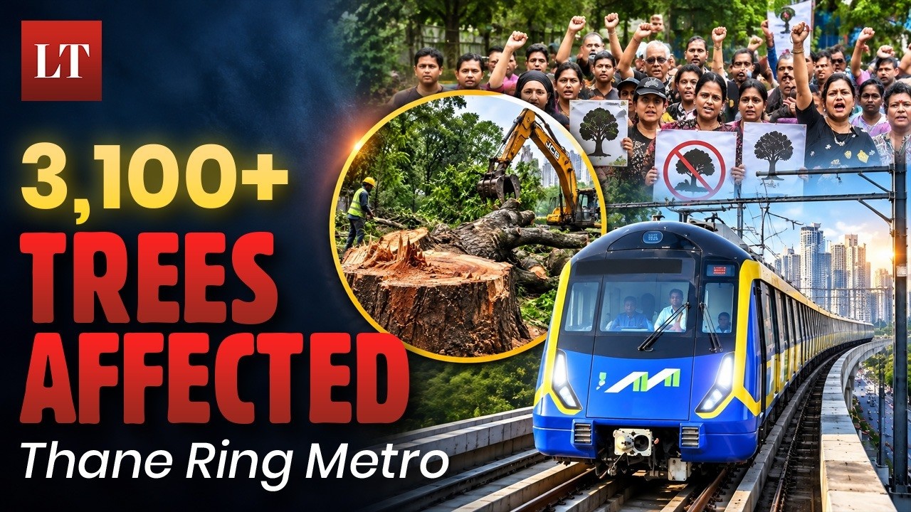 Кольцевое метро в Тхане: под угрозой 3100+ деревьев &mdash; развитие или экологический ущерб?